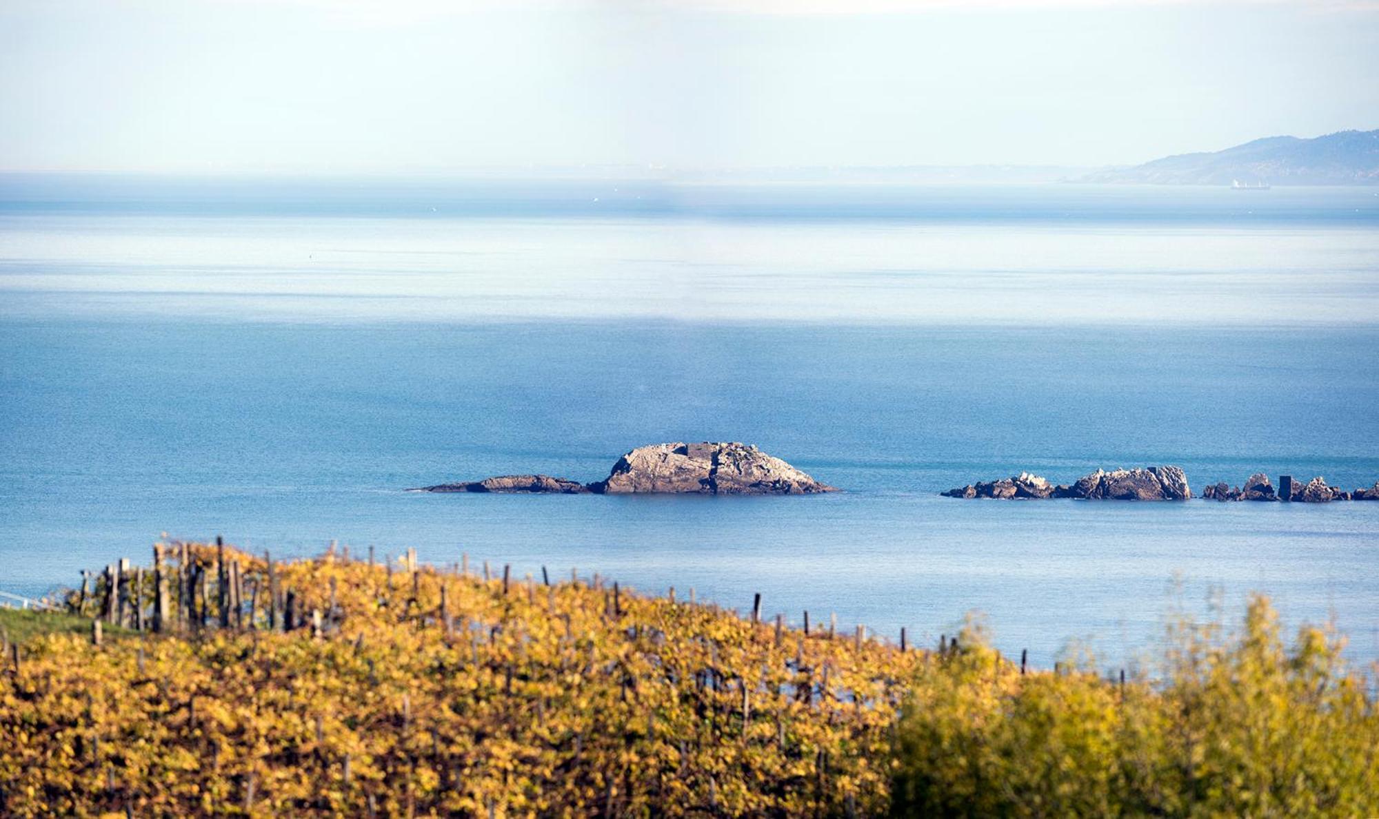 Aterian Euromar II Διαμέρισμα Zarautz Εξωτερικό φωτογραφία